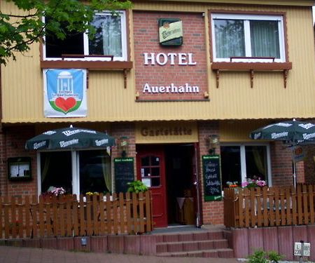 Auerhahn Hotel Bad Suderode Exterior foto