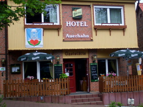 Auerhahn Hotel Bad Suderode Exterior foto